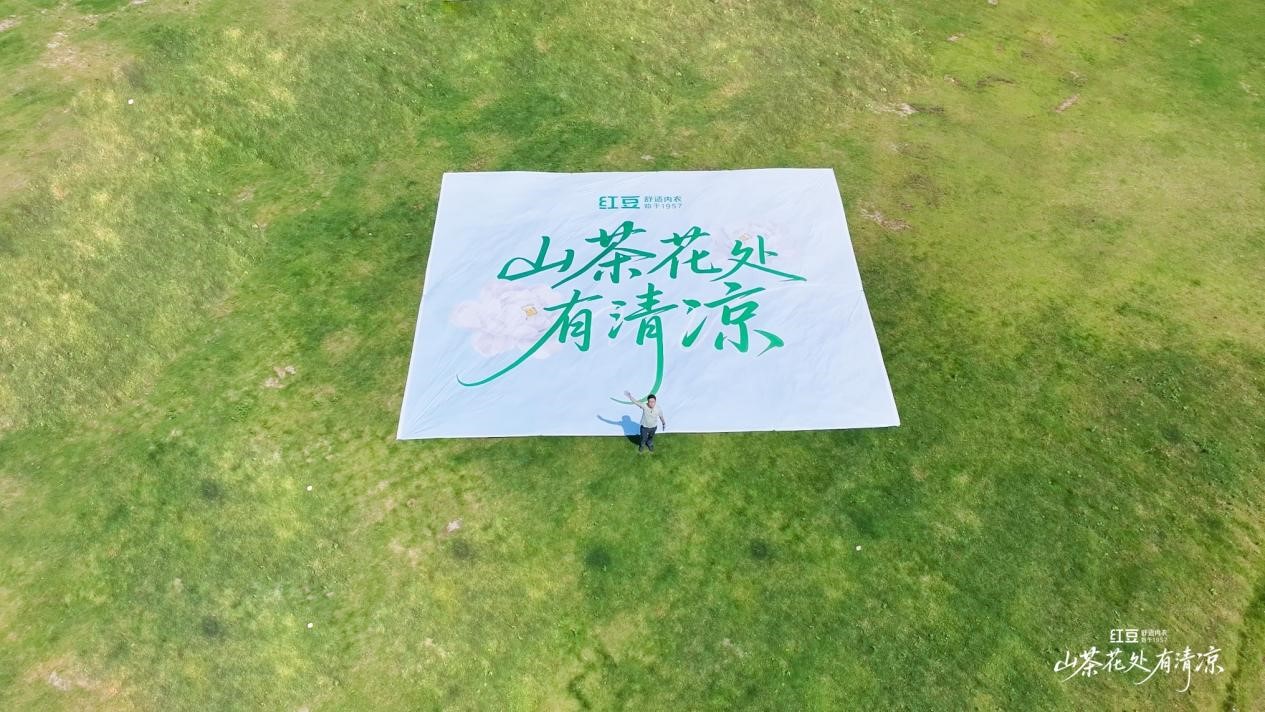 山茶花處有清涼1